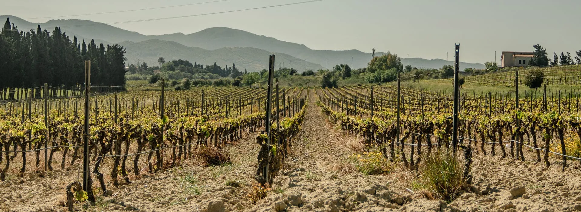 Nella natura, l’equilibrio.