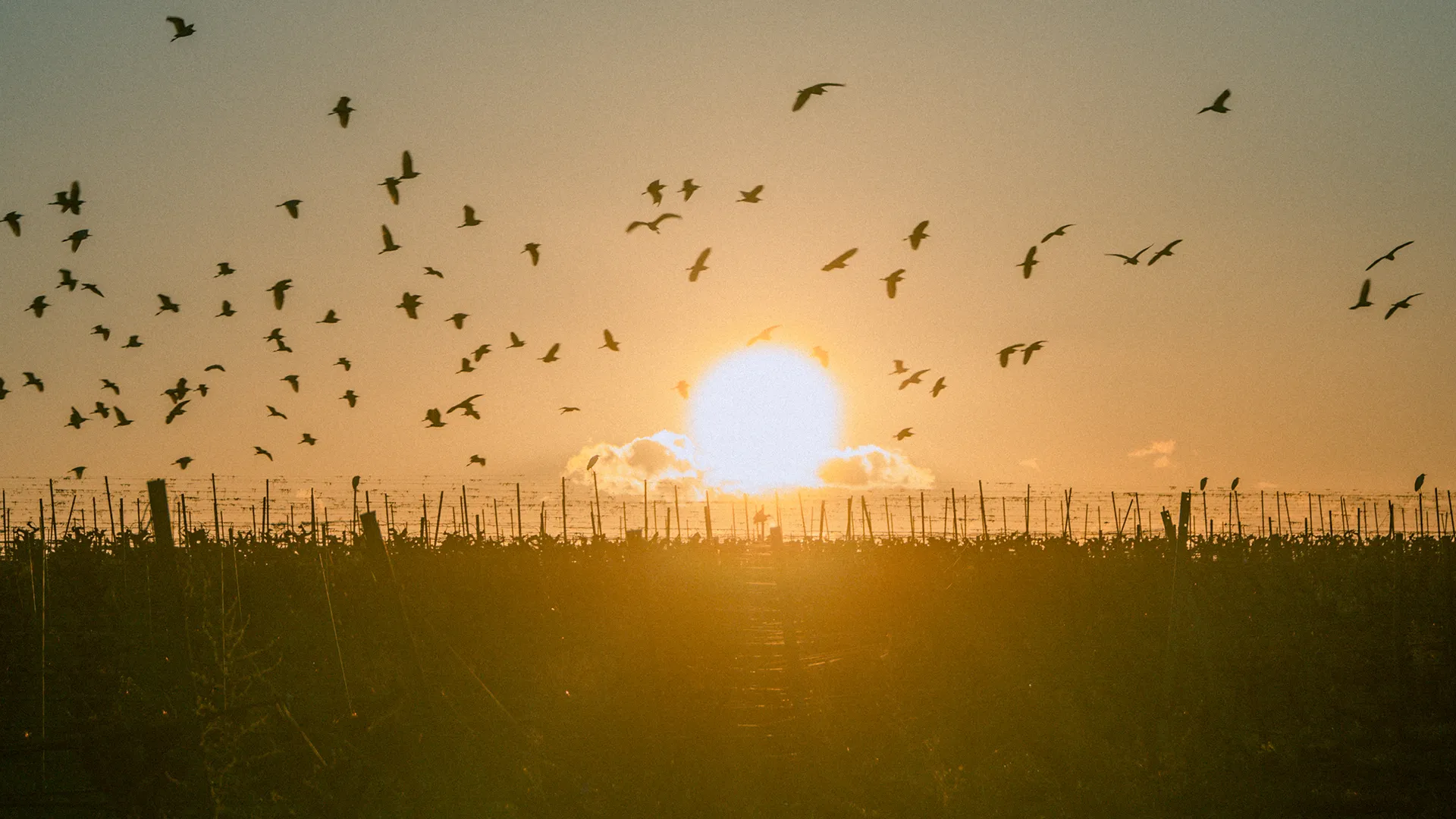 Il rispetto per la nostra terra